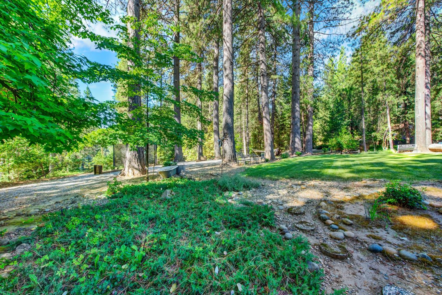 27128 Manzanita Court Pioneer CA 95666