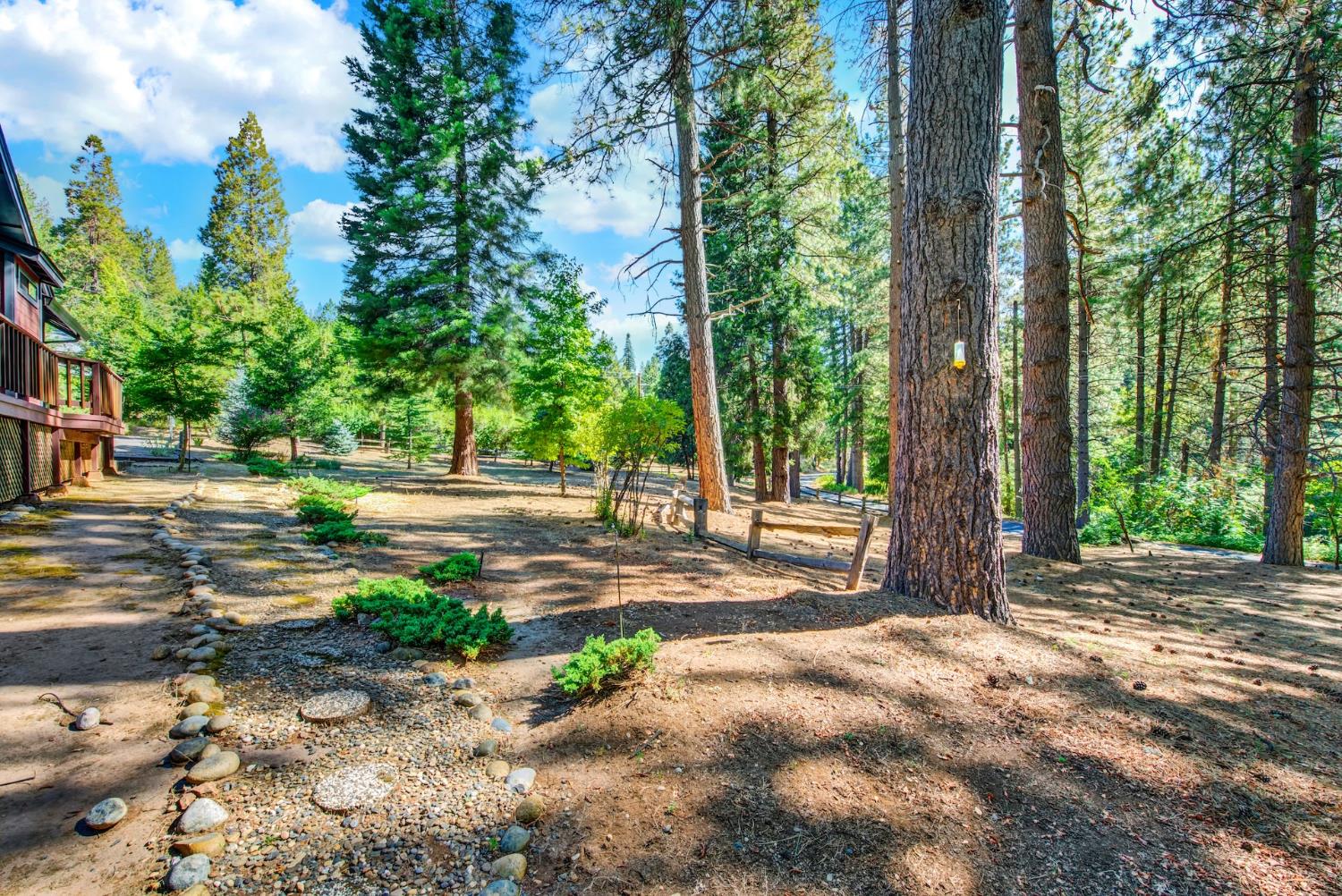 27128 Manzanita Court Pioneer CA 95666