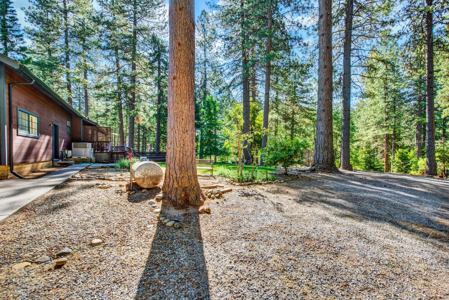 27128 Manzanita Court Pioneer CA 95666
