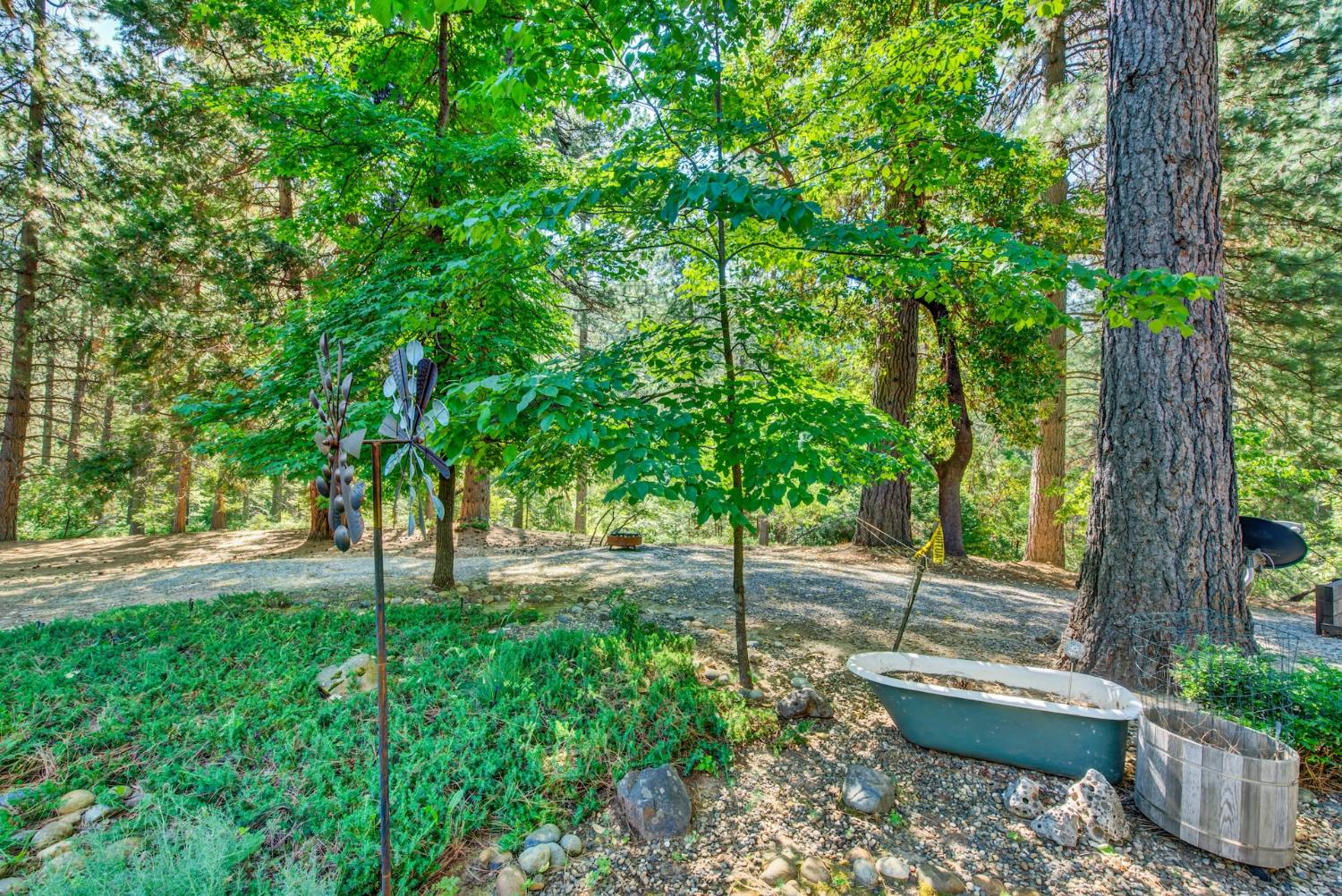 27128 Manzanita Court Pioneer CA 95666