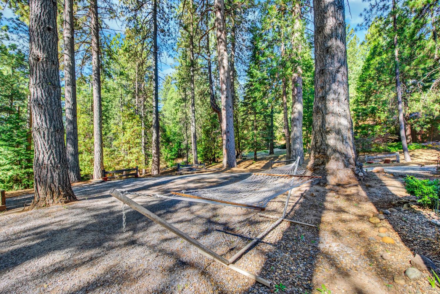 27128 Manzanita Court Pioneer CA 95666