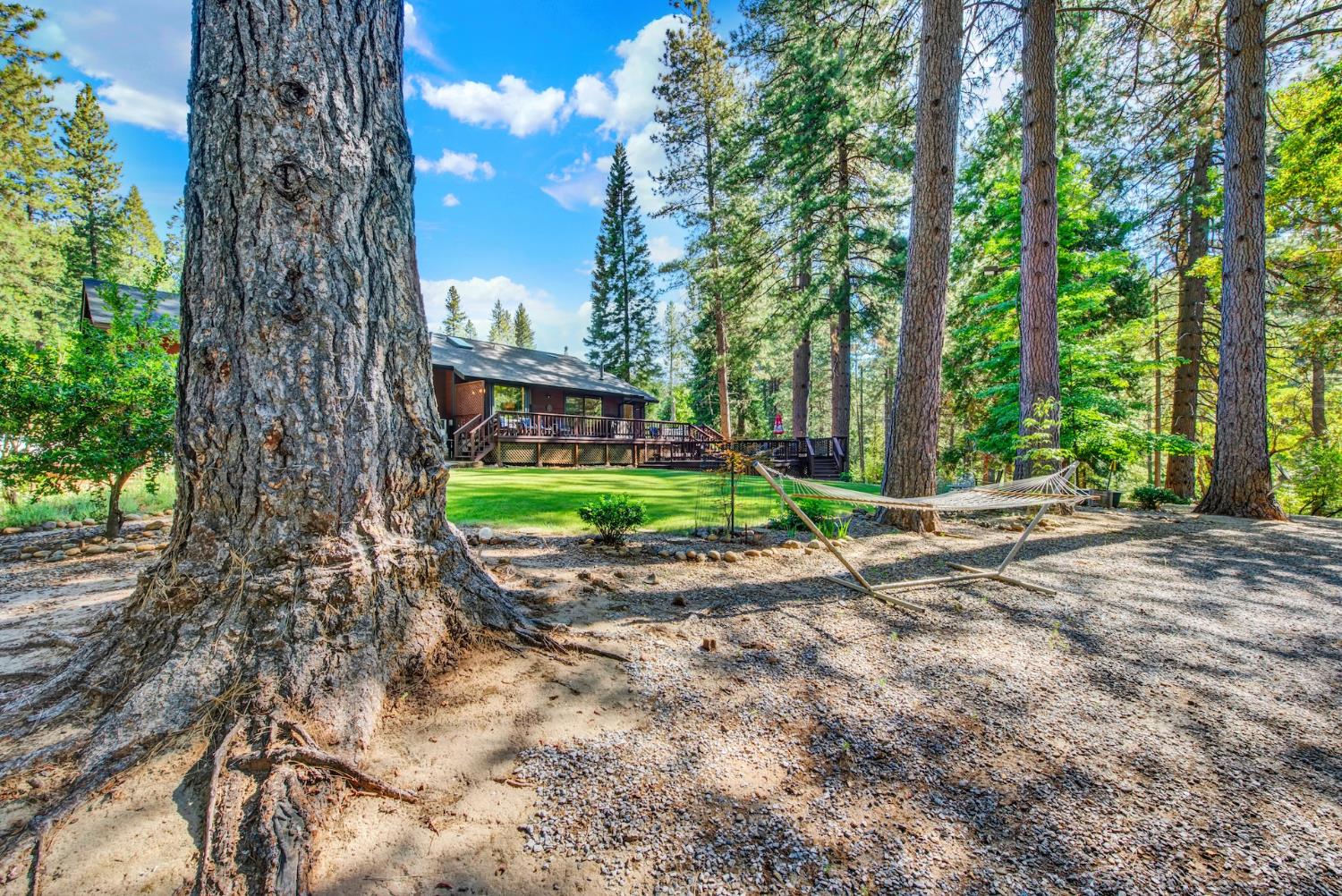 27128 Manzanita Court Pioneer CA 95666