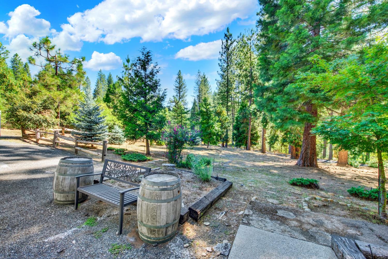 27128 Manzanita Court Pioneer CA 95666