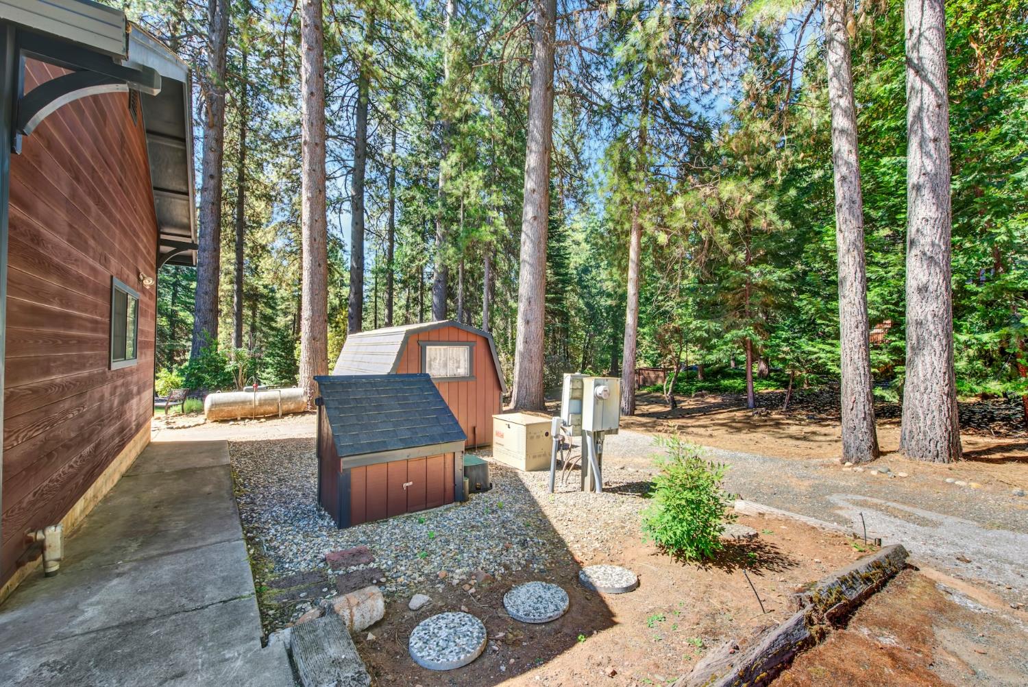 27128 Manzanita Court Pioneer CA 95666