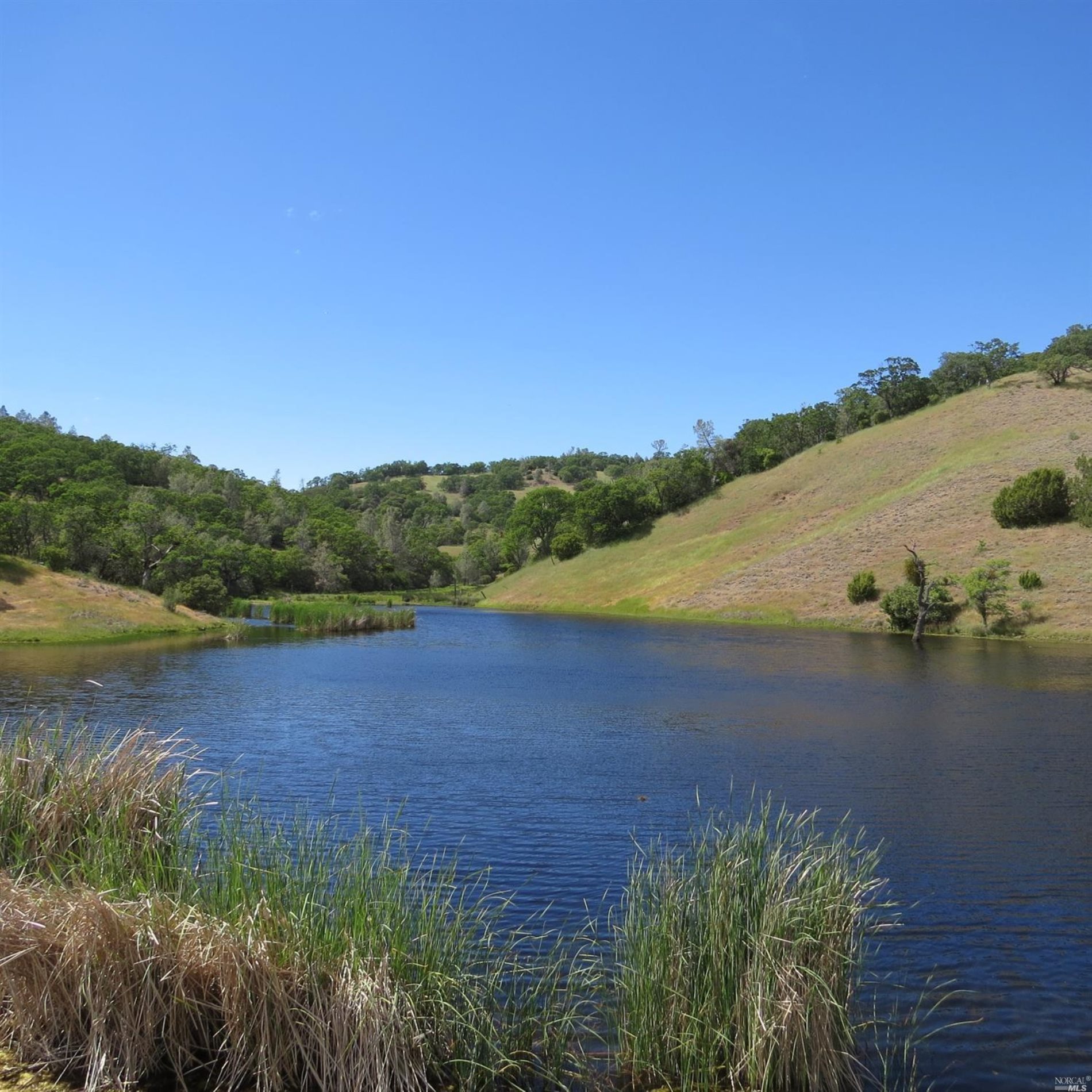 34360 San Antonio Valley Road San Jose CA 94550