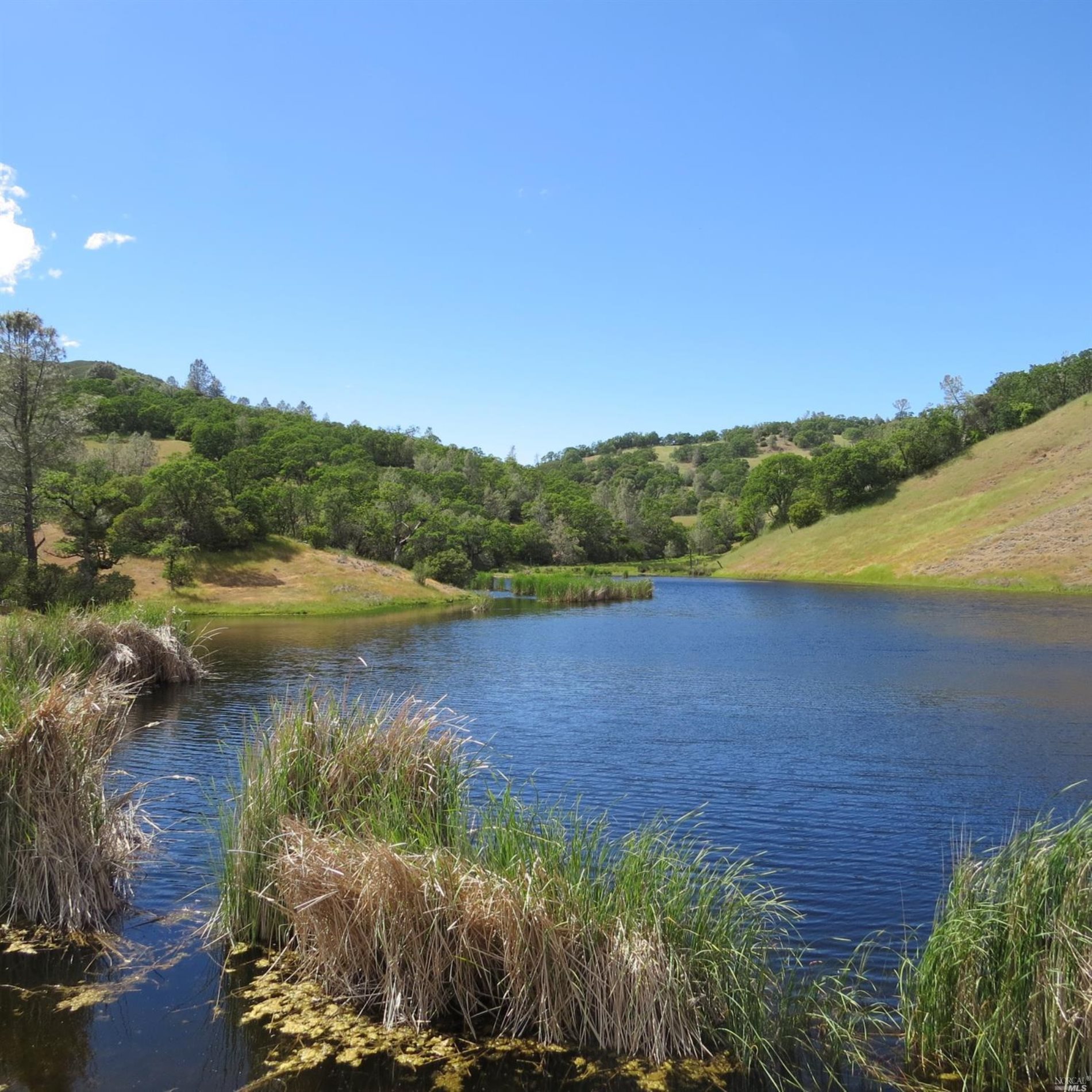 34360 San Antonio Valley Road San Jose CA 94550