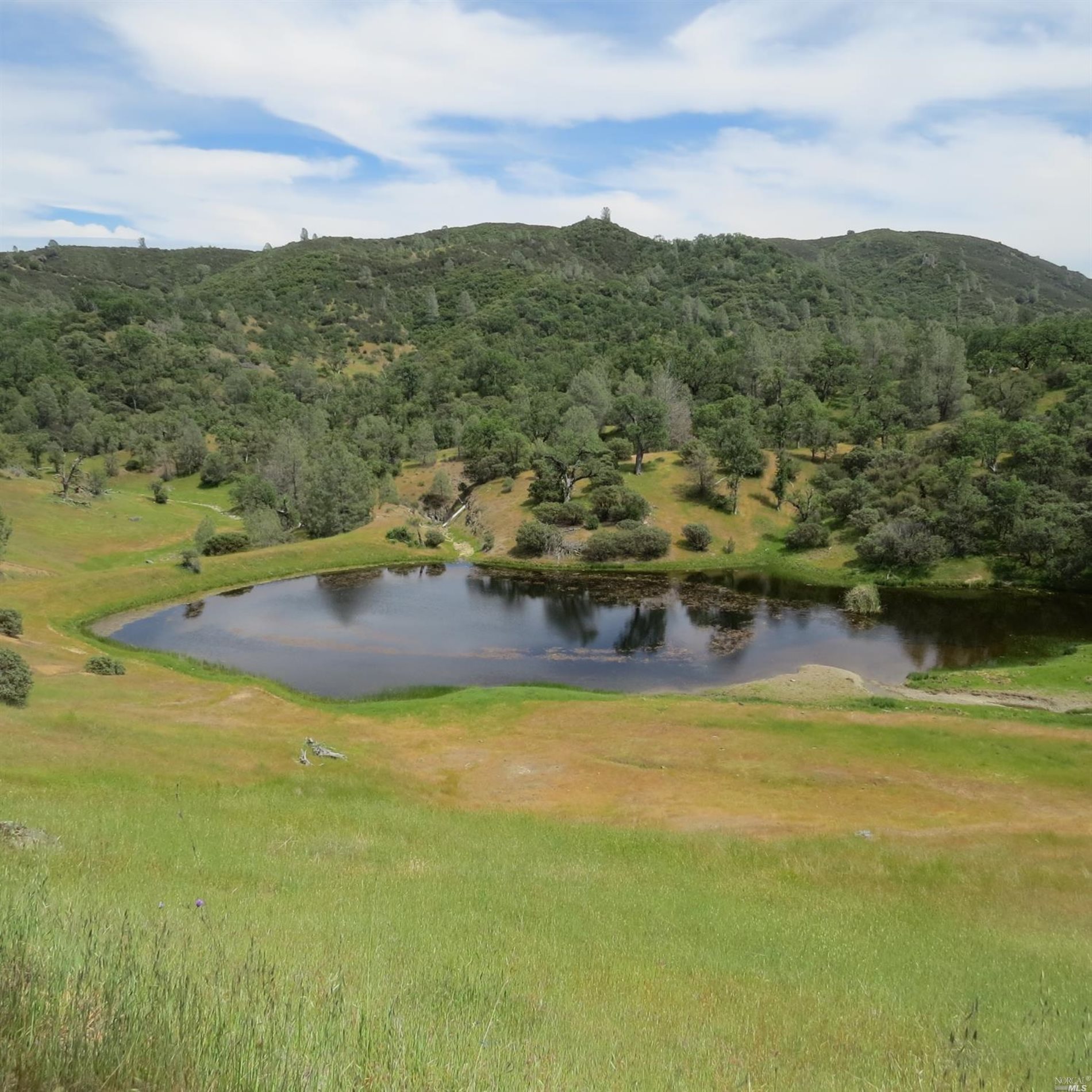 34360 San Antonio Valley Road San Jose CA 94550
