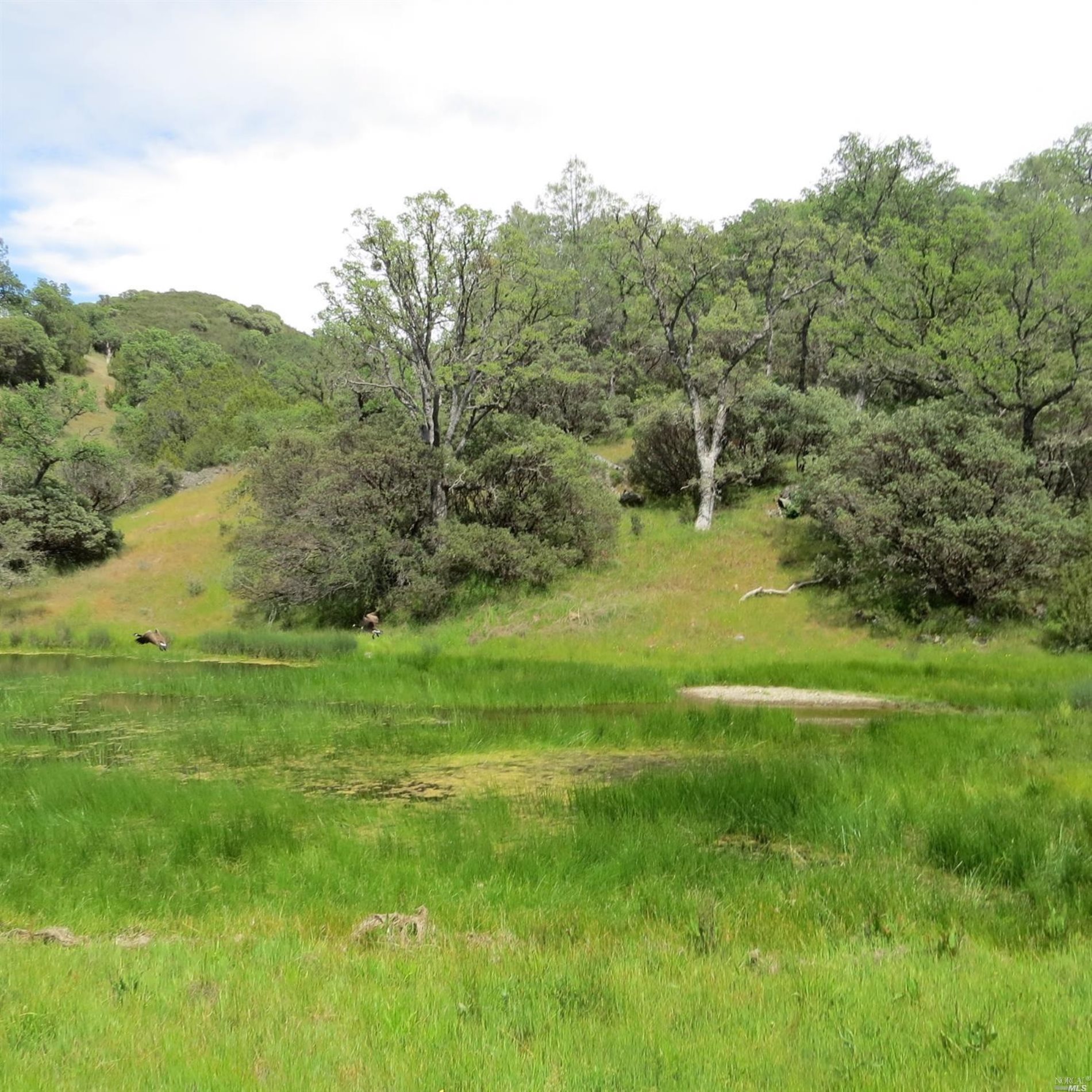 34360 San Antonio Valley Road San Jose CA 94550