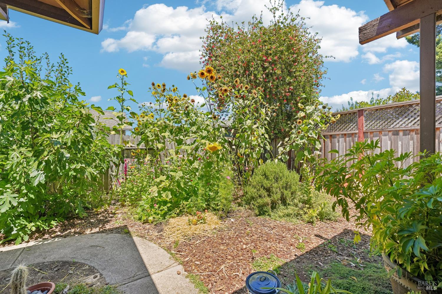6644 Greenmeadow Drive Santa Rosa CA 95409