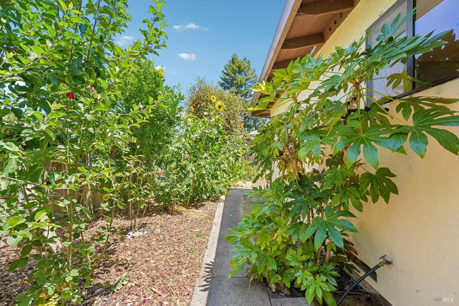 6644 Greenmeadow Drive Santa Rosa CA 95409