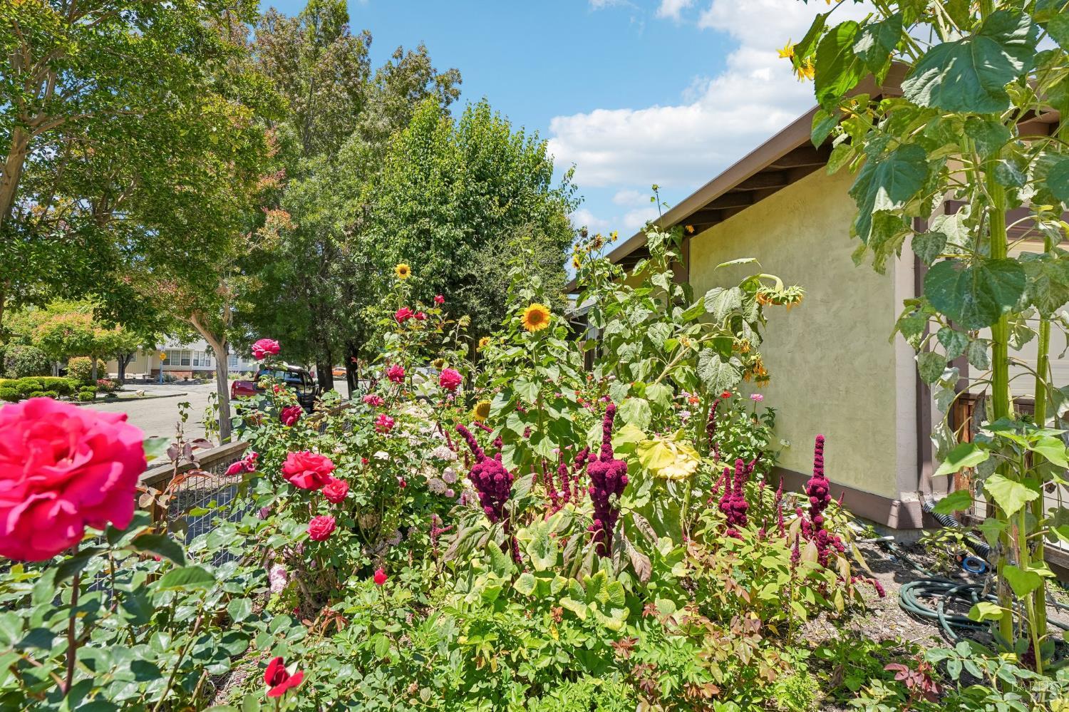 6644 Greenmeadow Drive Santa Rosa CA 95409