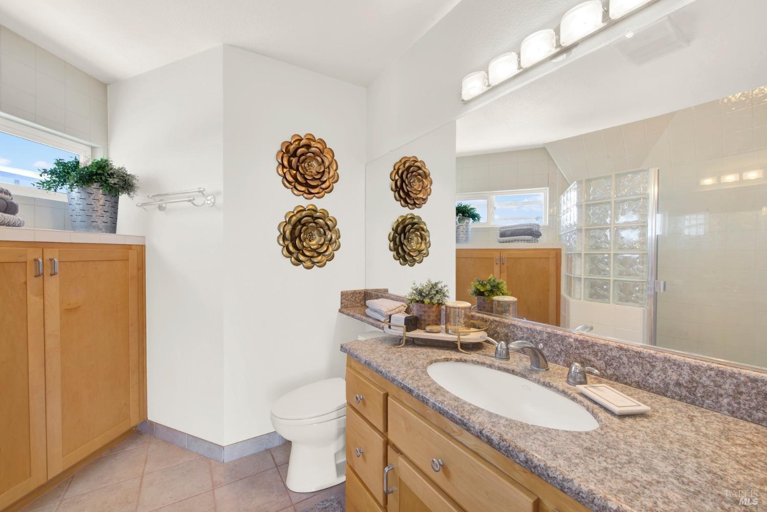 8560 Holmes Lane Winters CA 95694