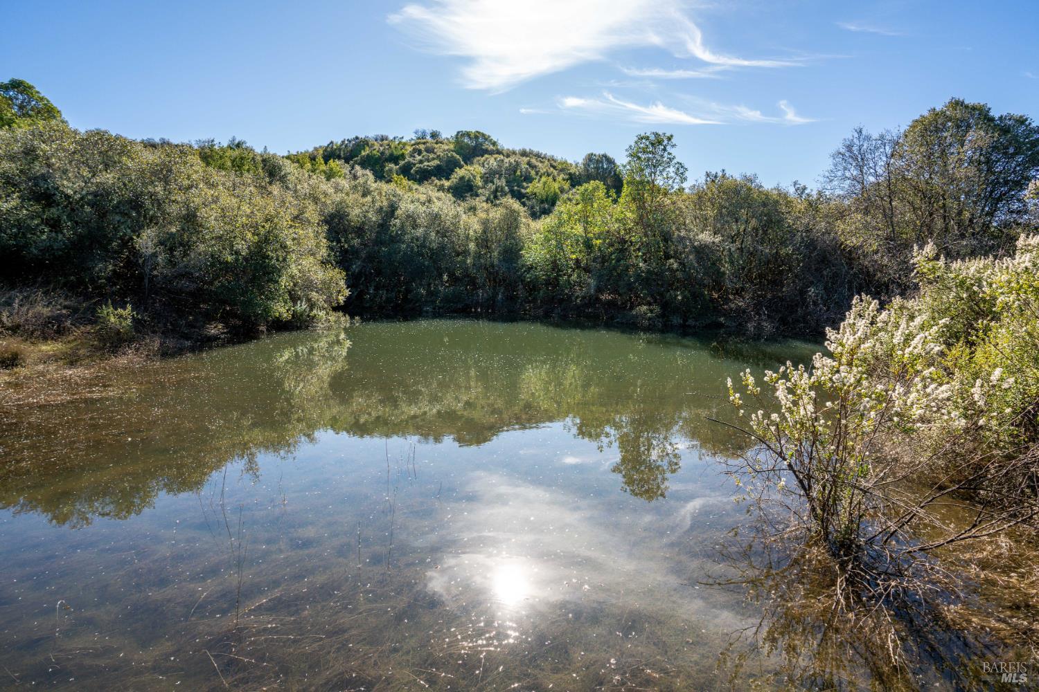 8451 Highway 175 Hopland CA 95449