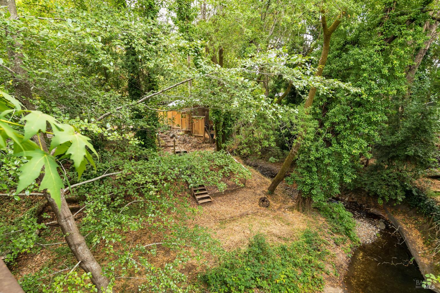 302 Forrest Avenue Fairfax CA 94930