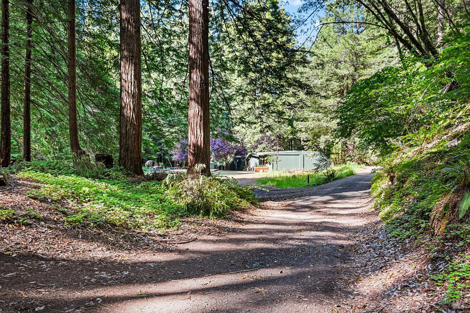 13431 Green Valley Road Sebastopol CA 95472