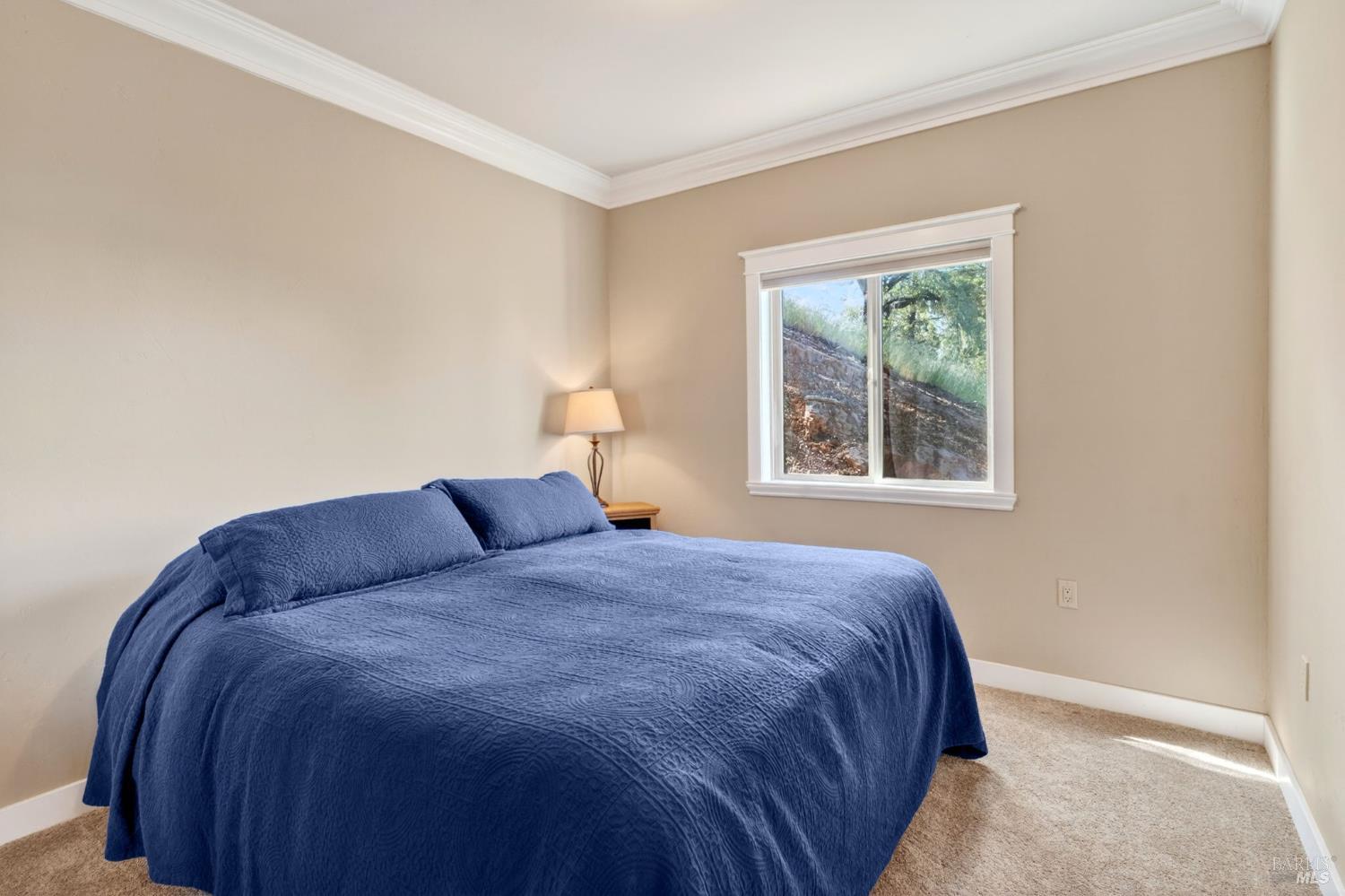 3165 Fulton Road Lucerne CA 95458
