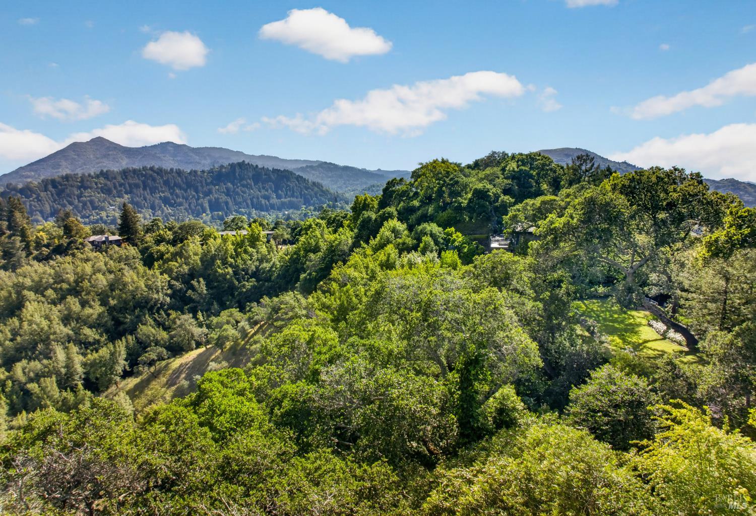 80 Baywood Avenue Ross CA 94957