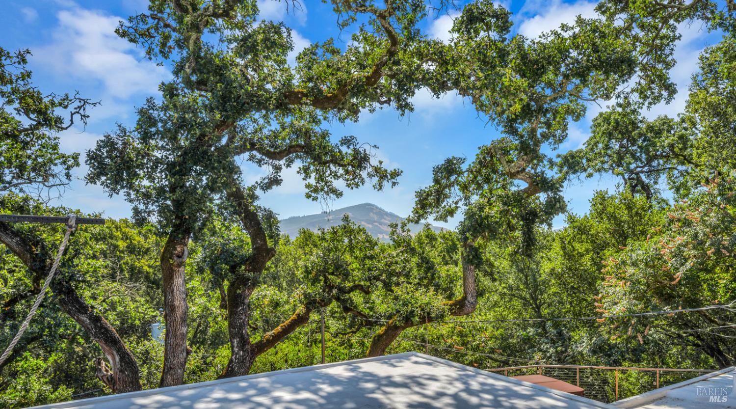1617 Ronne Drive Santa Rosa CA 95404
