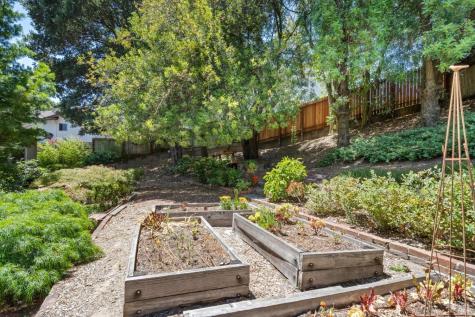 1008 West Street Petaluma CA 94952
