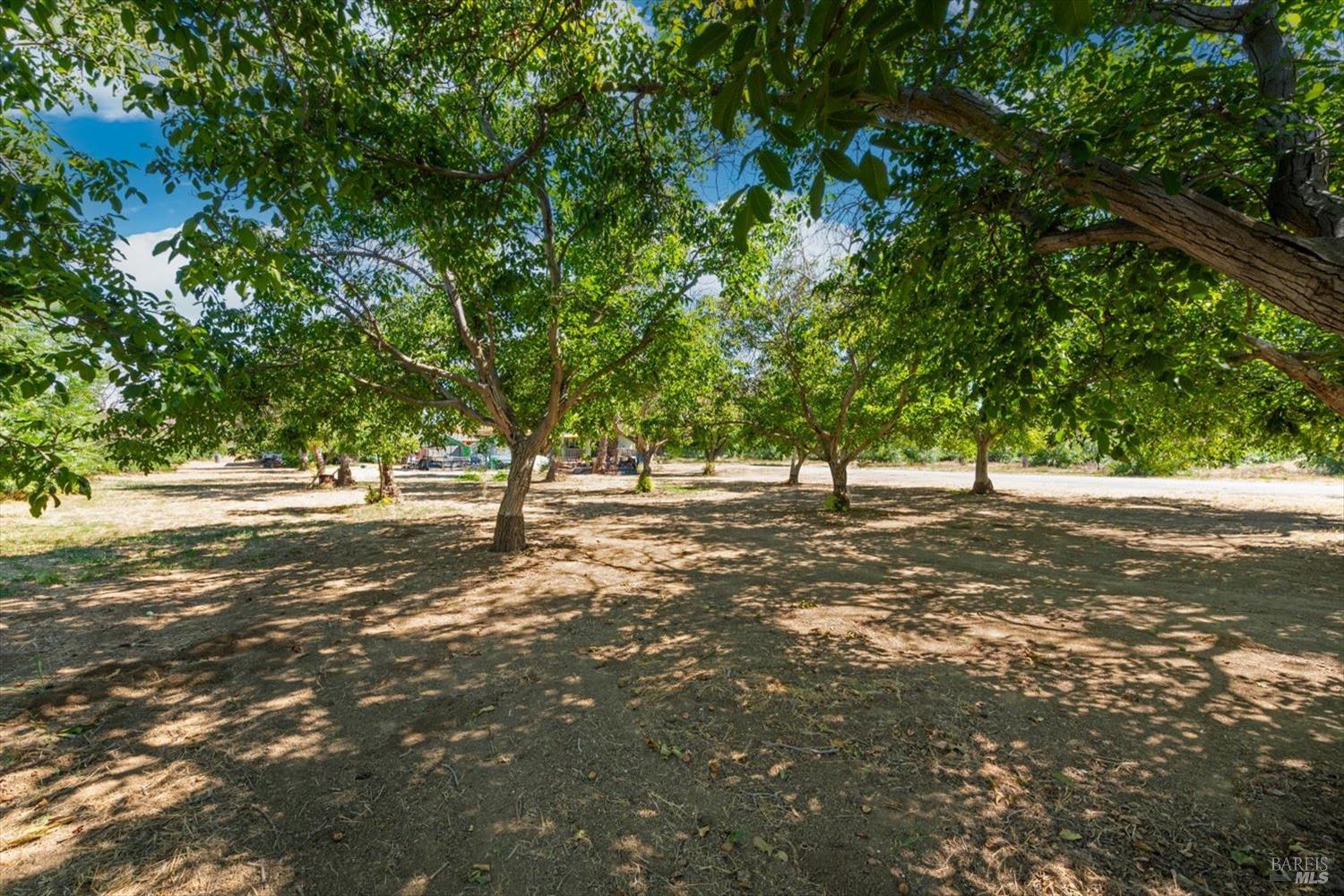 4694 Baker Road Winters CA 95694
