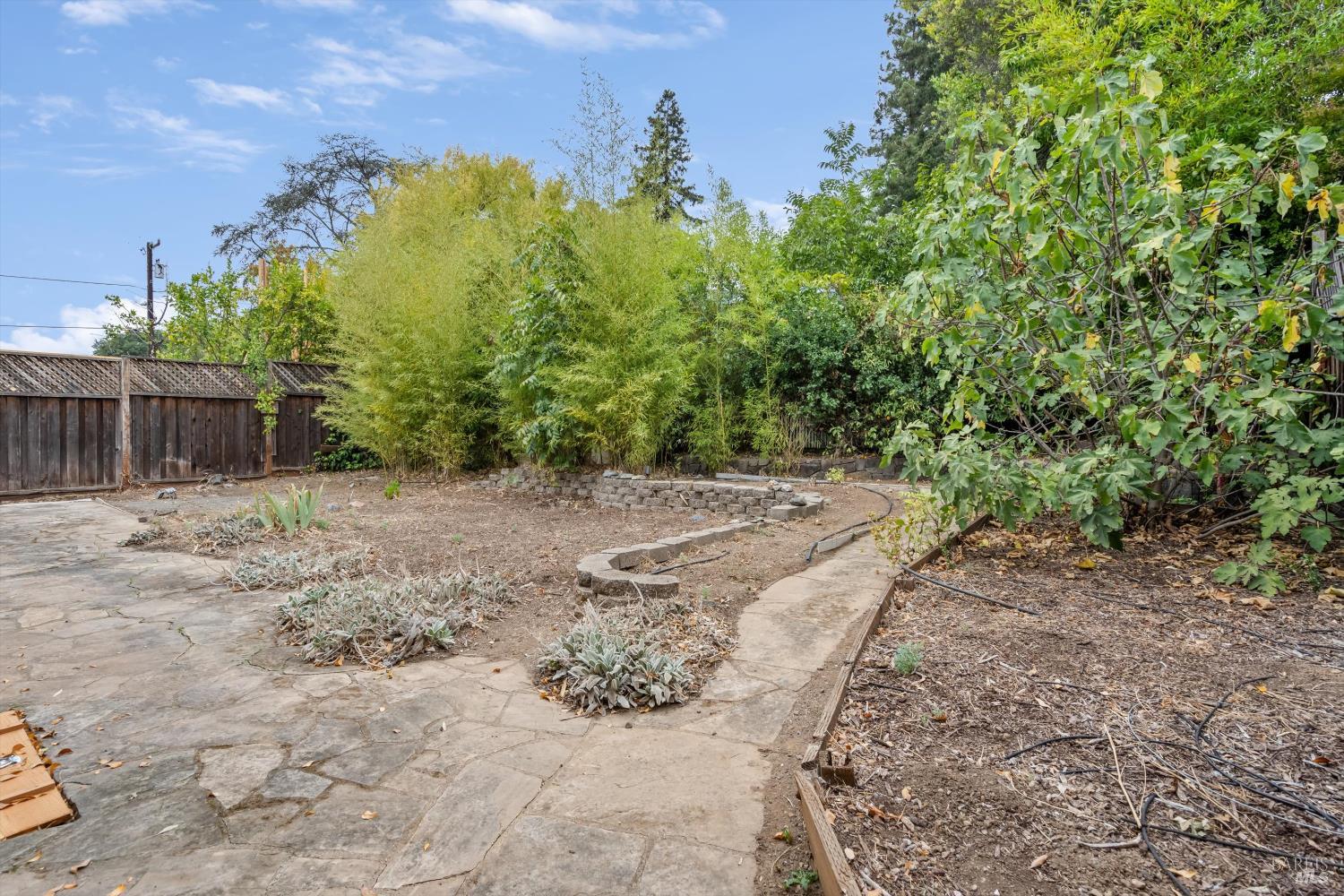 409 Lincoln Street Healdsburg CA 95448