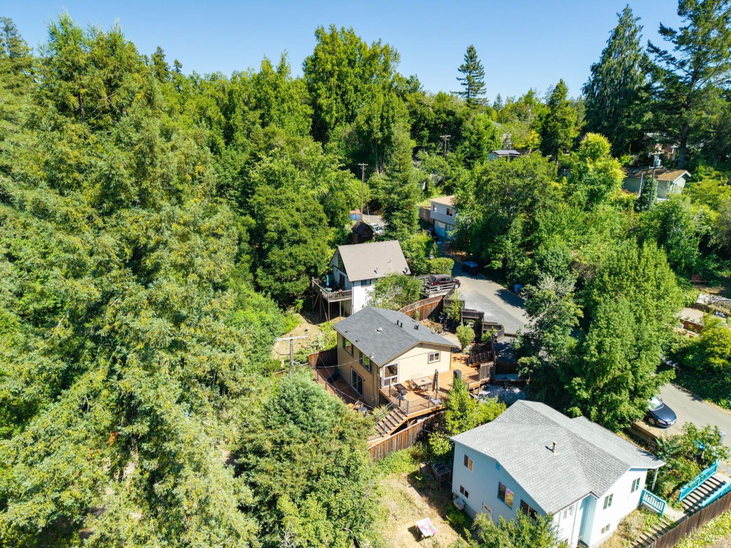 8230 Spring Drive Forestville CA 95436