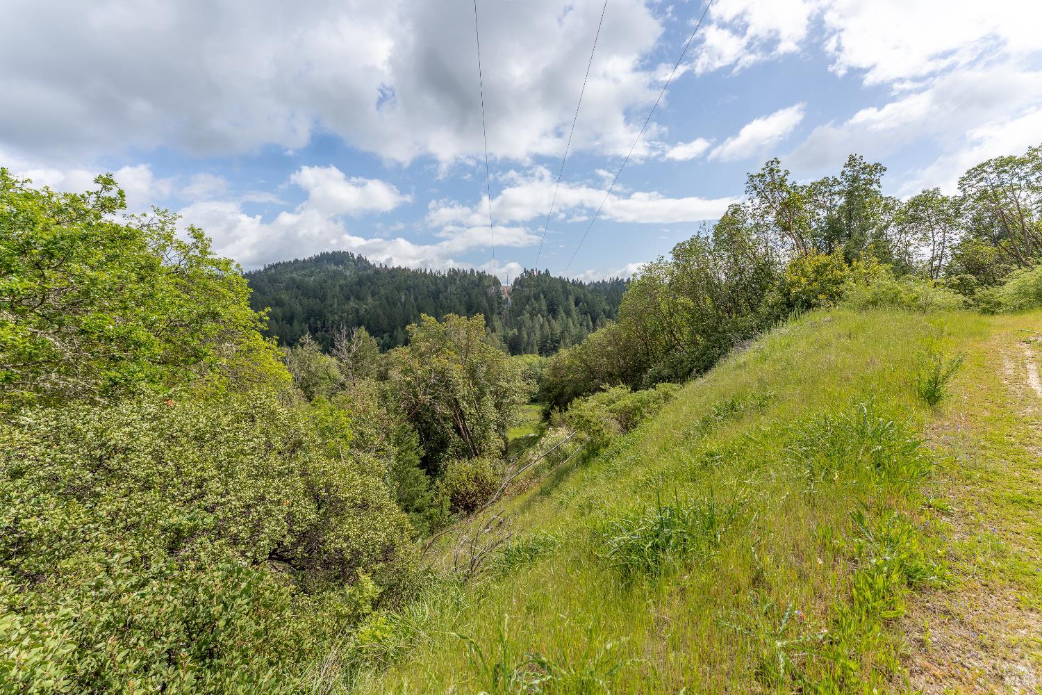 28655 N Highway 101 Highway Willits CA 95490