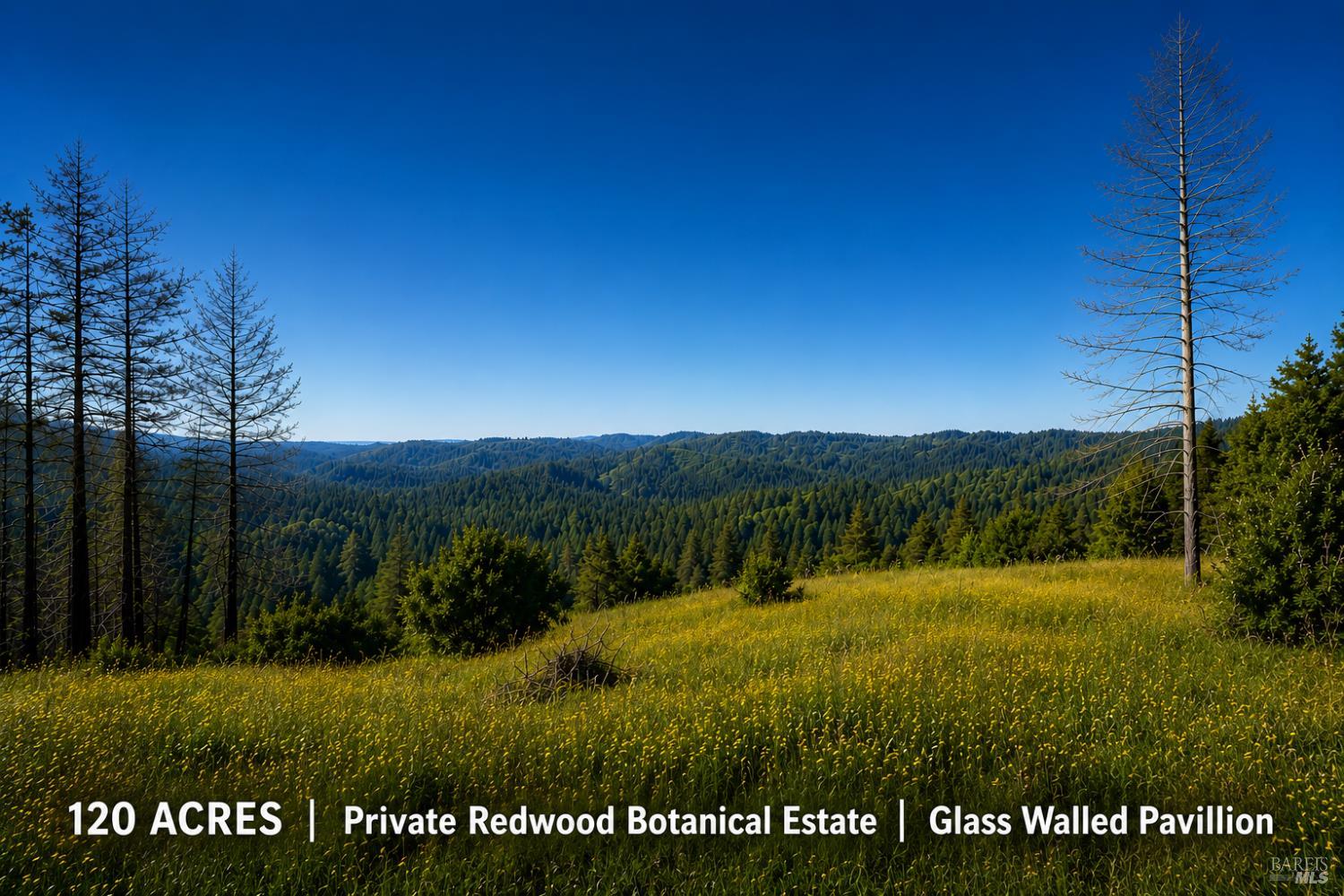 18900 Armstrong Woods Road Guerneville CA 95446