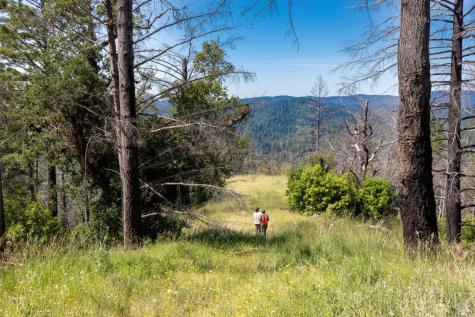 18900 Armstrong Woods Road Guerneville CA 95446