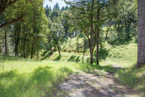 18900 Armstrong Woods Road Guerneville CA 95446