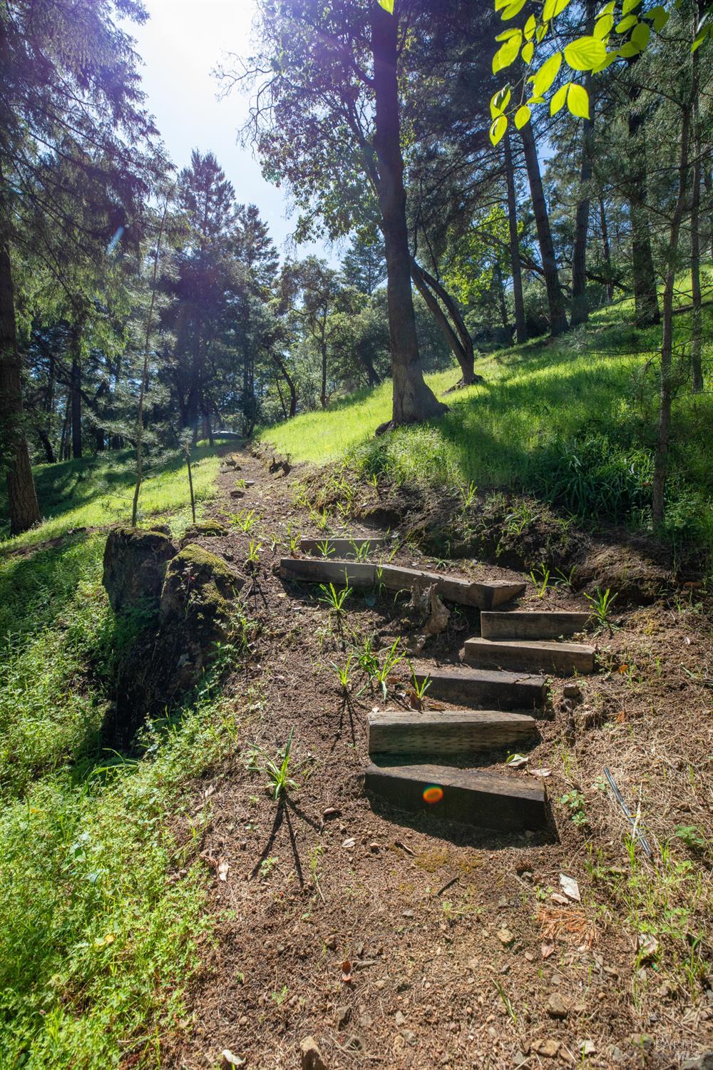 18900 Armstrong Woods Road Guerneville CA 95446