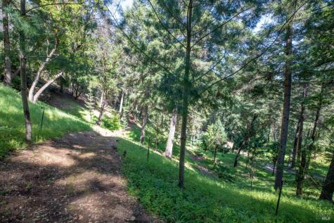 18900 Armstrong Woods Road Guerneville CA 95446
