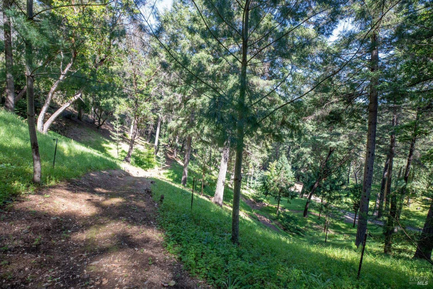 18900 Armstrong Woods Road Guerneville CA 95446