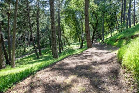 18900 Armstrong Woods Road Guerneville CA 95446
