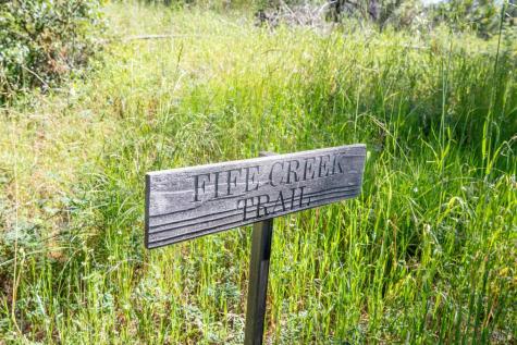 18900 Armstrong Woods Road Guerneville CA 95446