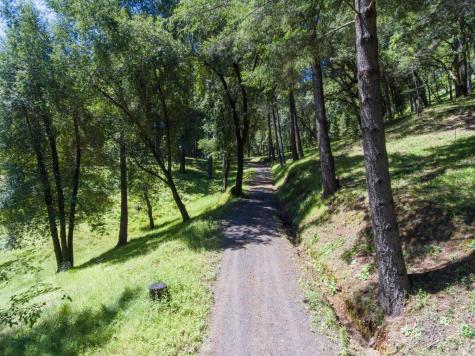 18900 Armstrong Woods Road Guerneville CA 95446
