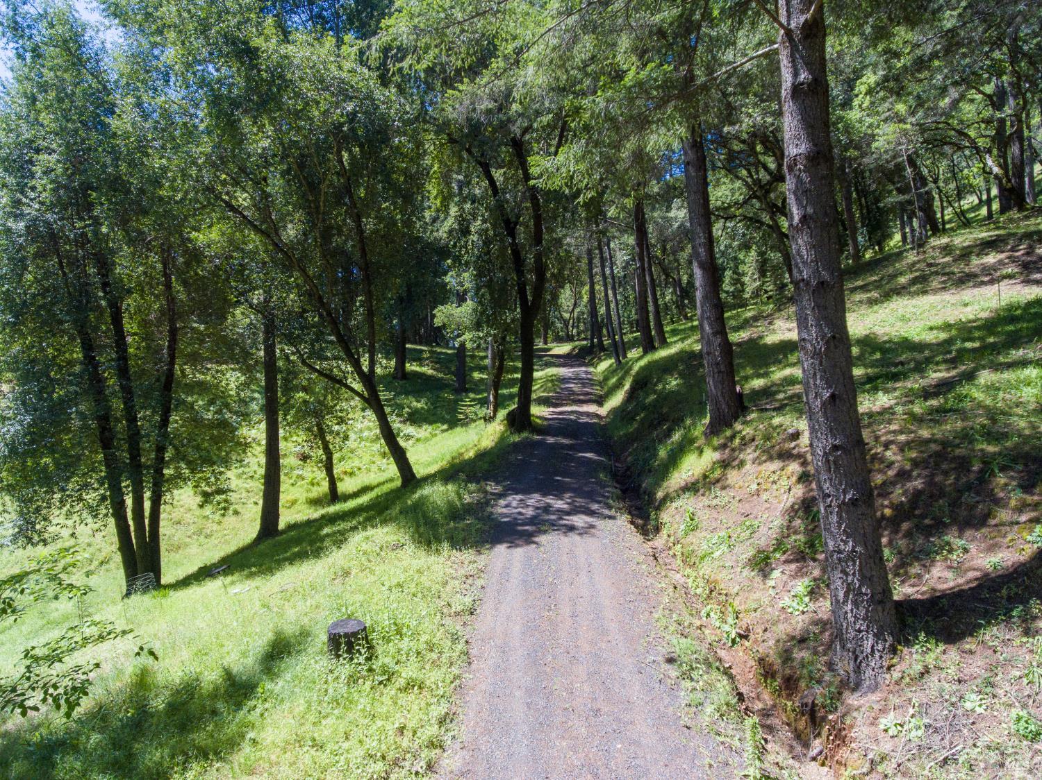 18900 Armstrong Woods Road Guerneville CA 95446