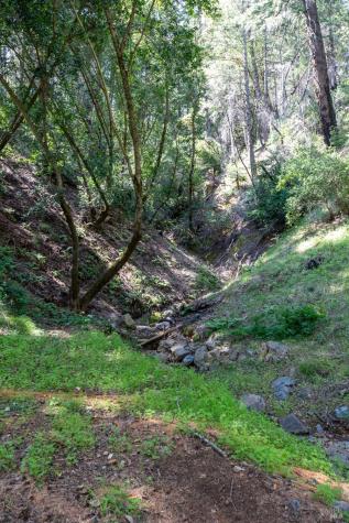 18900 Armstrong Woods Road Guerneville CA 95446
