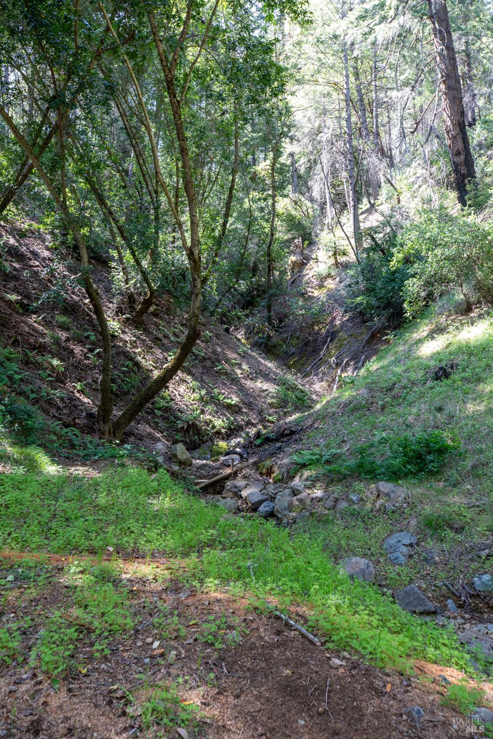 18900 Armstrong Woods Road Guerneville CA 95446