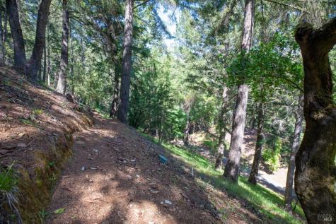 18900 Armstrong Woods Road Guerneville CA 95446
