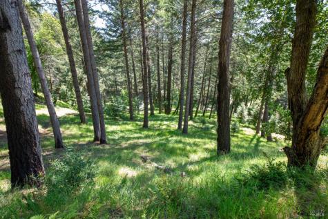 18900 Armstrong Woods Road Guerneville CA 95446