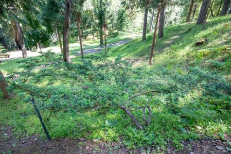 18900 Armstrong Woods Road Guerneville CA 95446