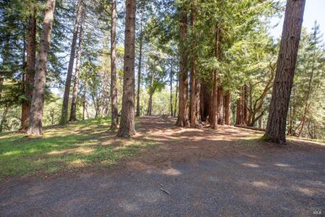 18900 Armstrong Woods Road Guerneville CA 95446