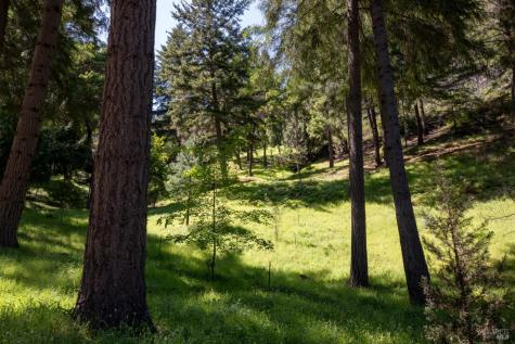 18900 Armstrong Woods Road Guerneville CA 95446