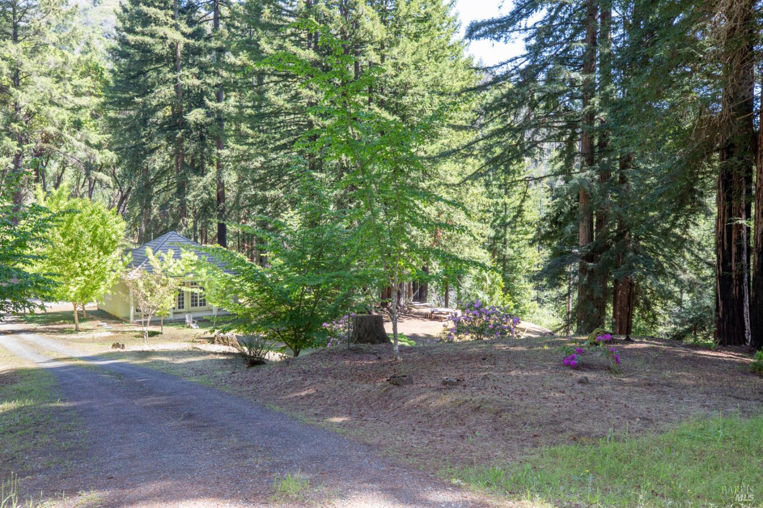 18900 Armstrong Woods Road Guerneville CA 95446