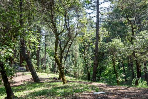 18900 Armstrong Woods Road Guerneville CA 95446