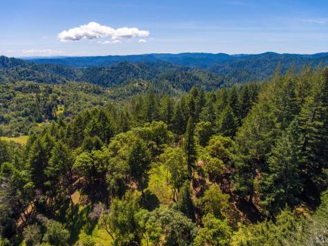 18900 Armstrong Woods Road Guerneville CA 95446