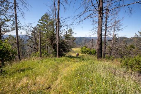18900 Armstrong Woods Road Guerneville CA 95446