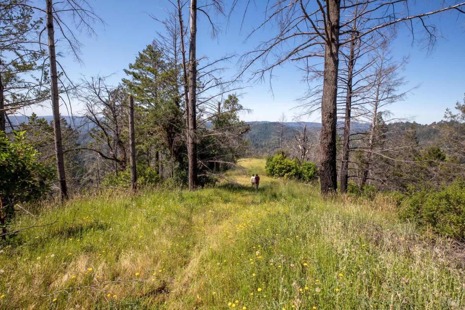 18900 Armstrong Woods Road Guerneville CA 95446