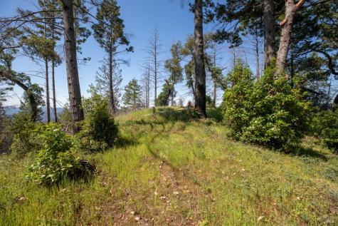 18900 Armstrong Woods Road Guerneville CA 95446